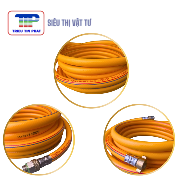 Dây áp lực cá sấu Hàn Quốc - Ảnh 4